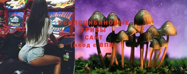 дмт Коряжма
